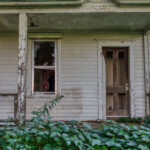 A badly overgrown and decrepit back porch door with kudzu vines growing over the floor of the porch.